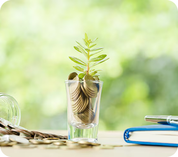 Growth Investment